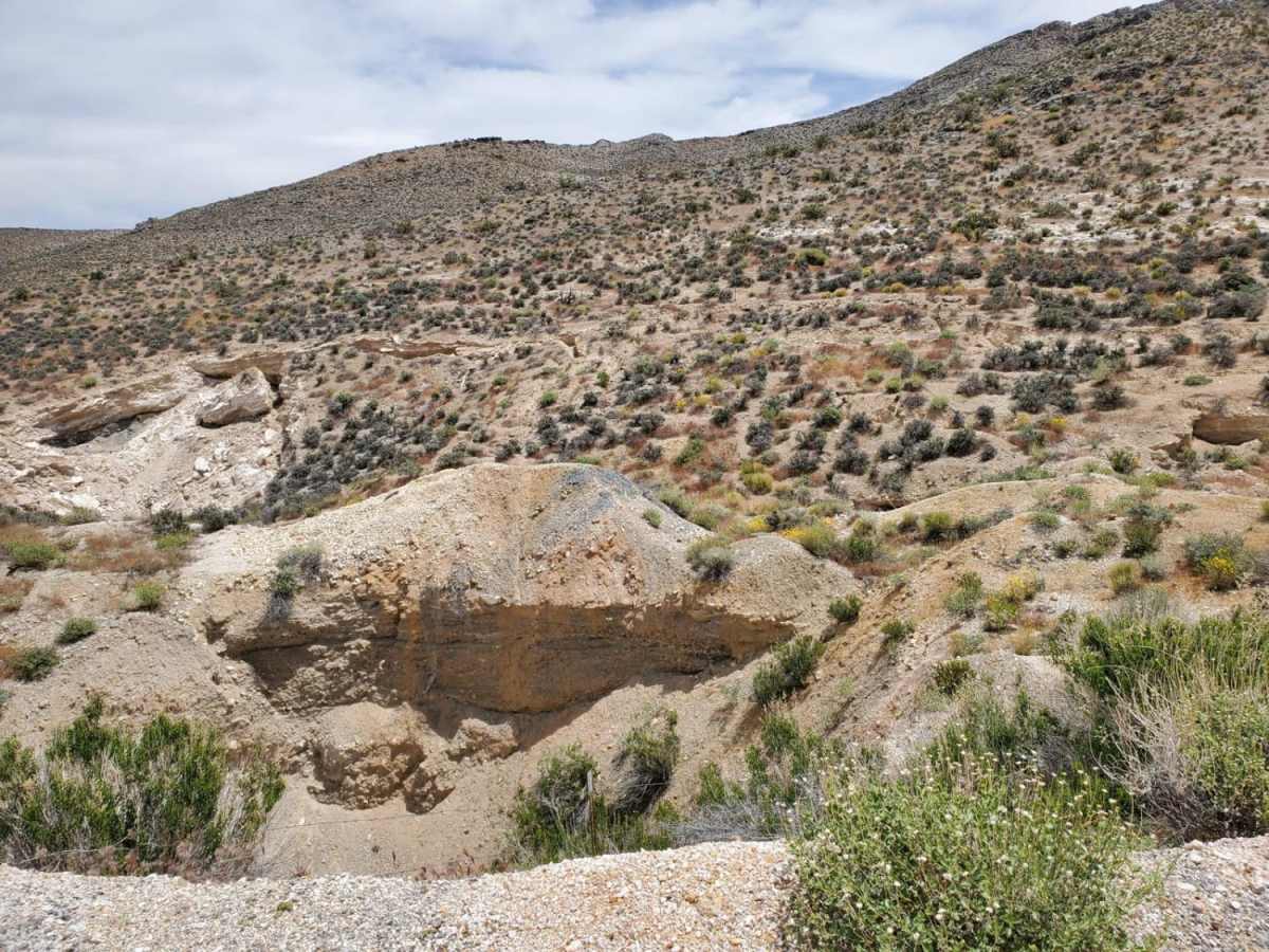 Rhyolite Ghost Town Loop photo 3