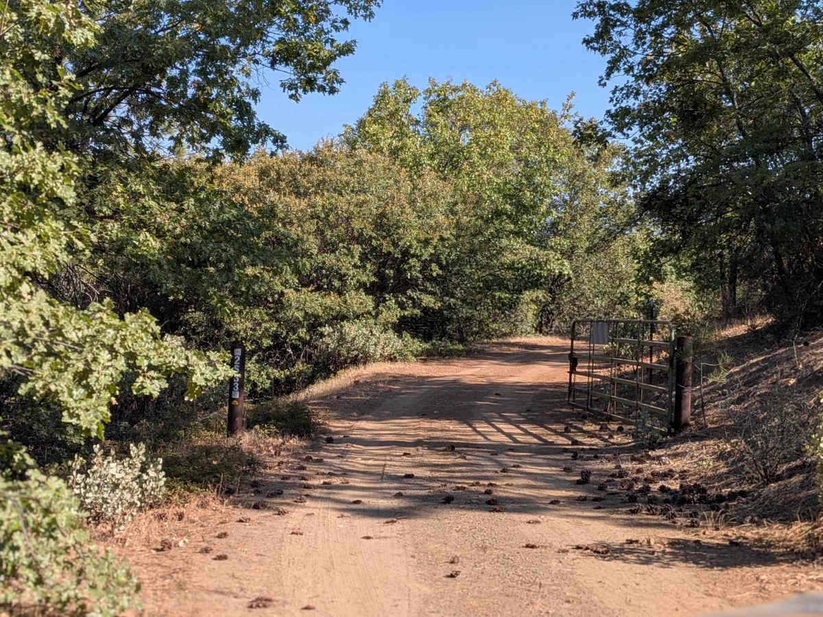 FS 2S33 trail photo