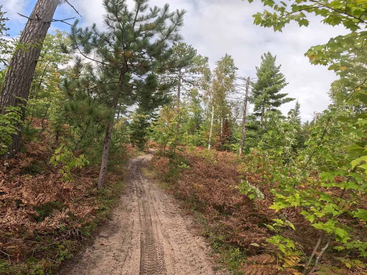 Two Hearted Trail (North) photo 2
