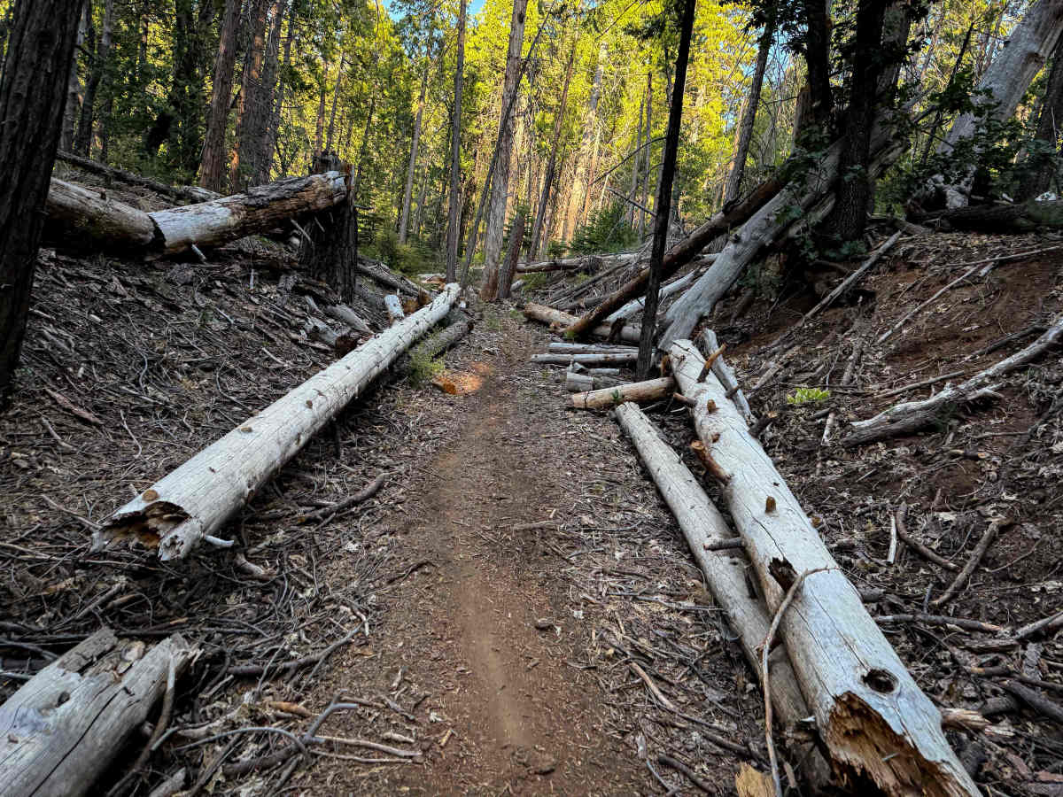 16EV272  trail photo