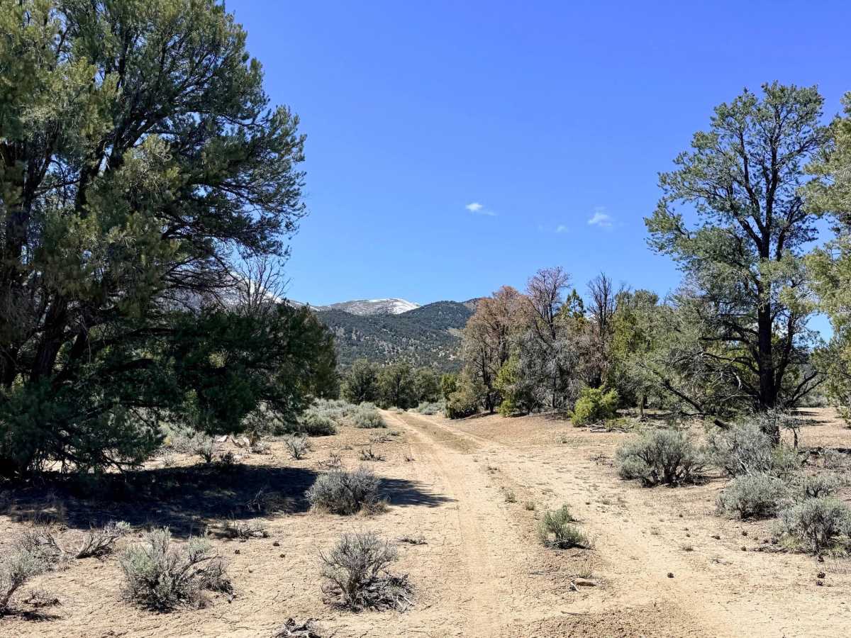 Blackbird Ranch Loop FS43255 photo 5
