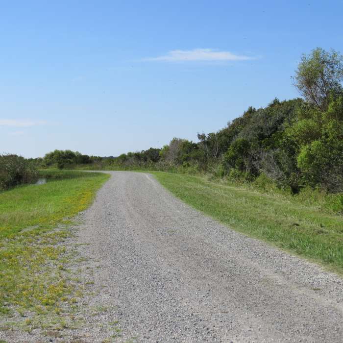 Start of West Dike Trail at the right hand side of the fork Near Seaside Trail to Dune Trail Loop