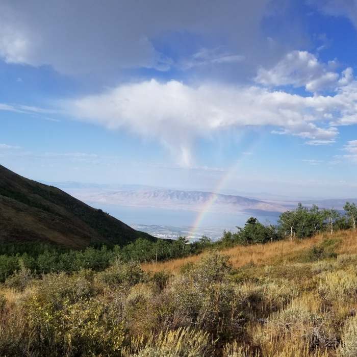 Near Mahogany Mountain Trail
