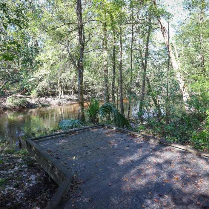 Near Spring Run Trail