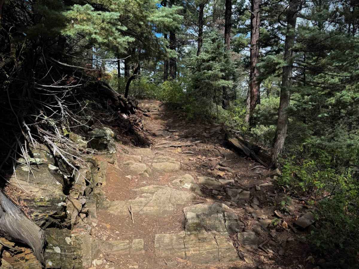Osha Canyon Trail - FS 20  photo 5