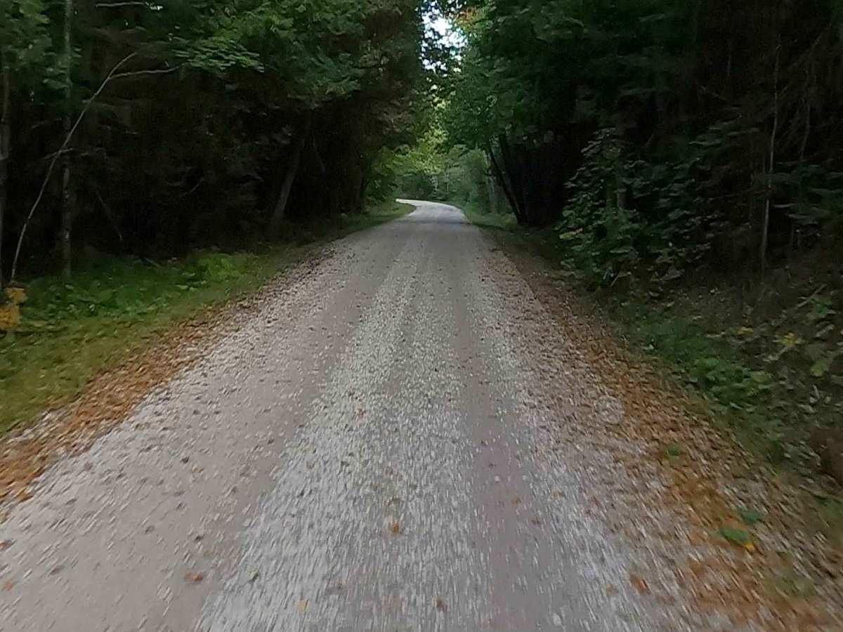 Red Creek Road - FS 3118   photo 6