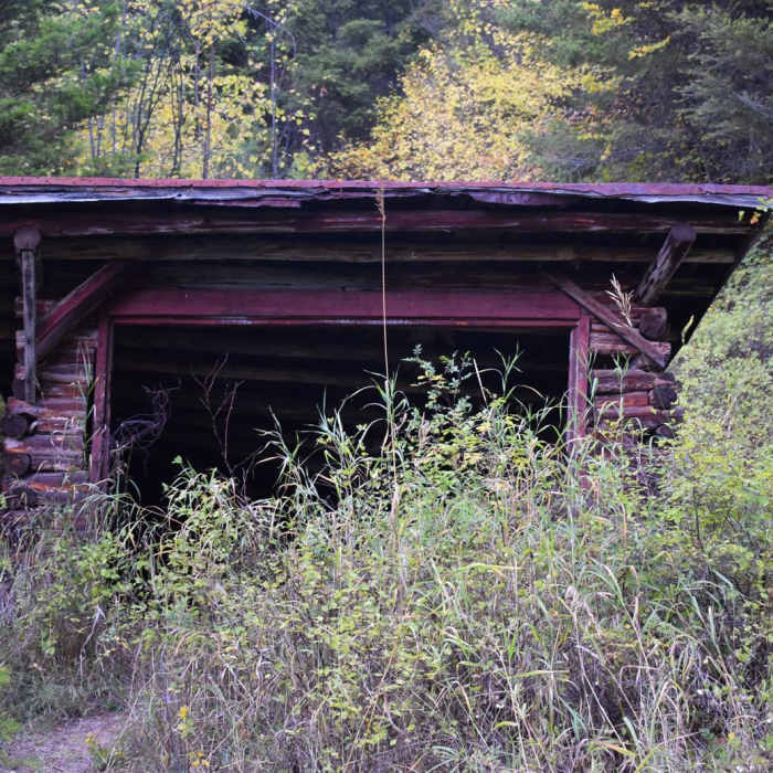 Near Historic Curry Cabin + Sawmill Gulch Loop