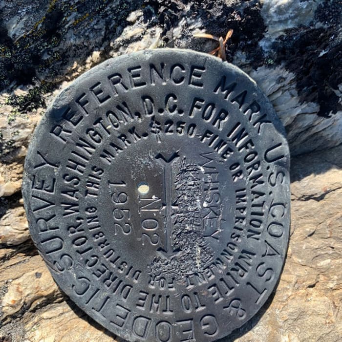 Reference mark at summit Near Whisky Peak Summit