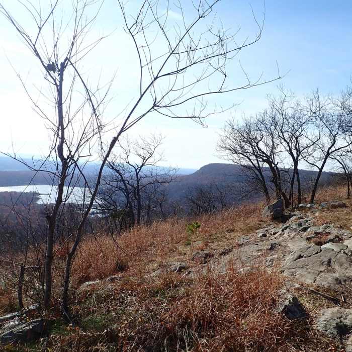 Near Appalachian Trail - Worthington State Forest Near Appalachian Trail - Worthington State Forest