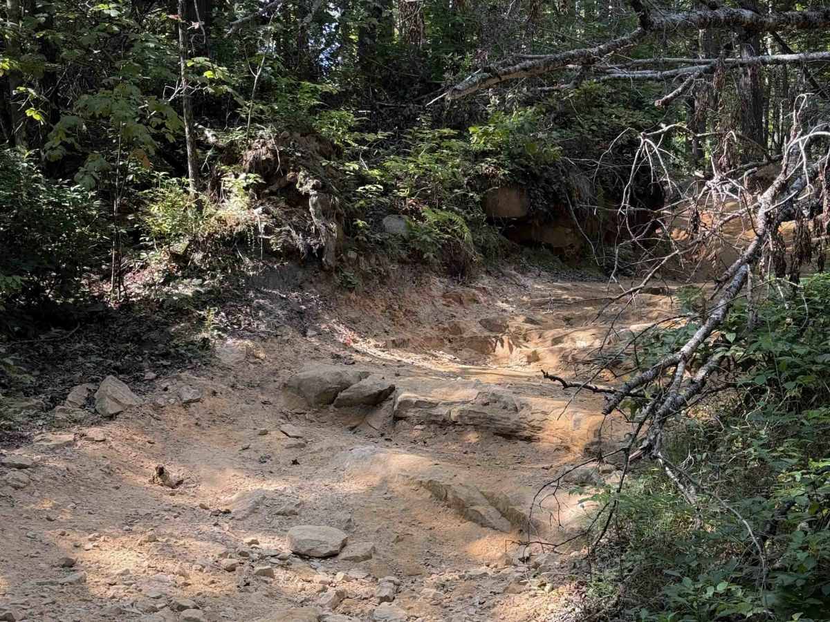 Ollie’s Creek Trail 2  photo 5