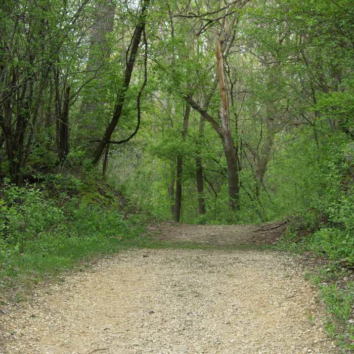 Hollows Conservation Area - Photo courtesy of McHenry County Conservation District Near Hollows Conservation Area