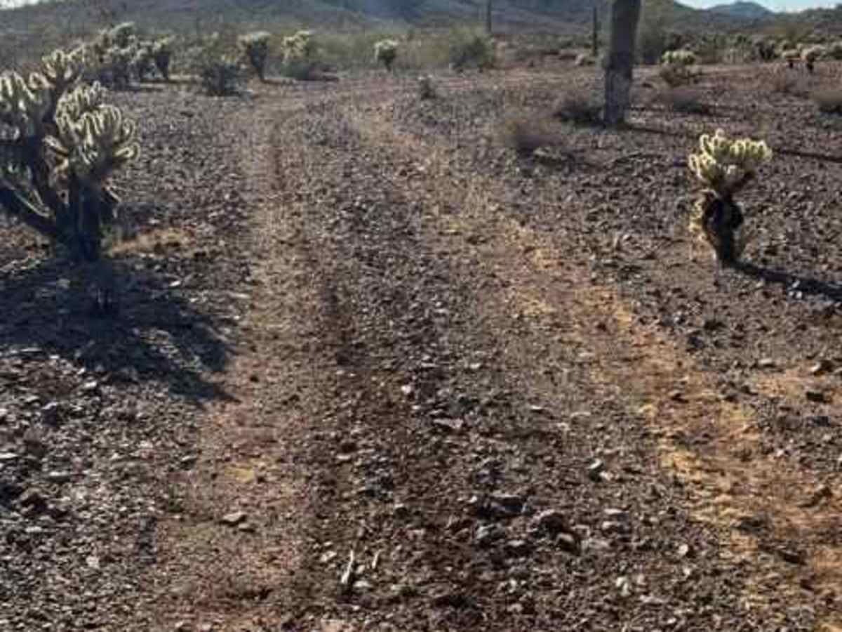 BLM 38069 photo 2