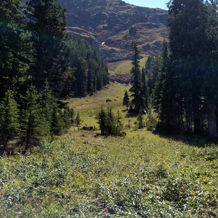 Near Mount Blackmore