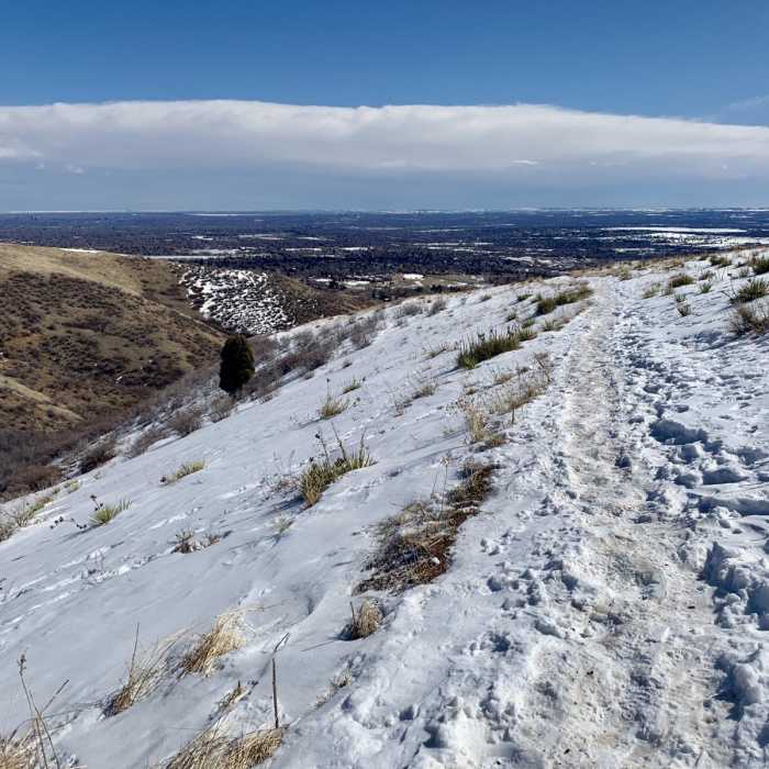 Near Hayden Trail Loop
