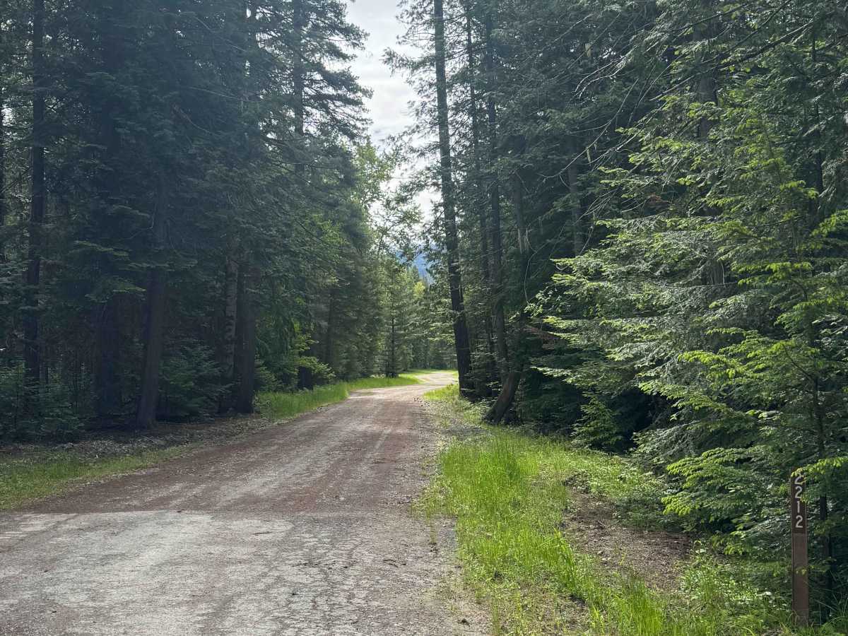 Highline Road - FS 2212 trail photo