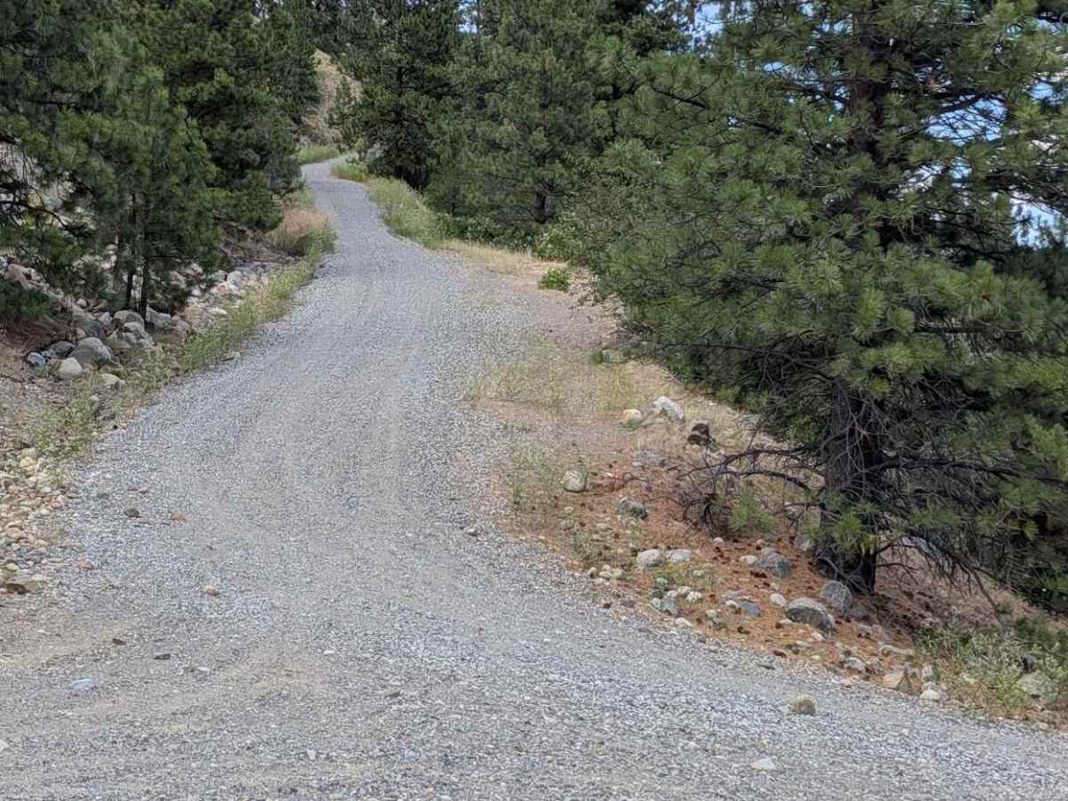 Douglas Mountain Road photo 2