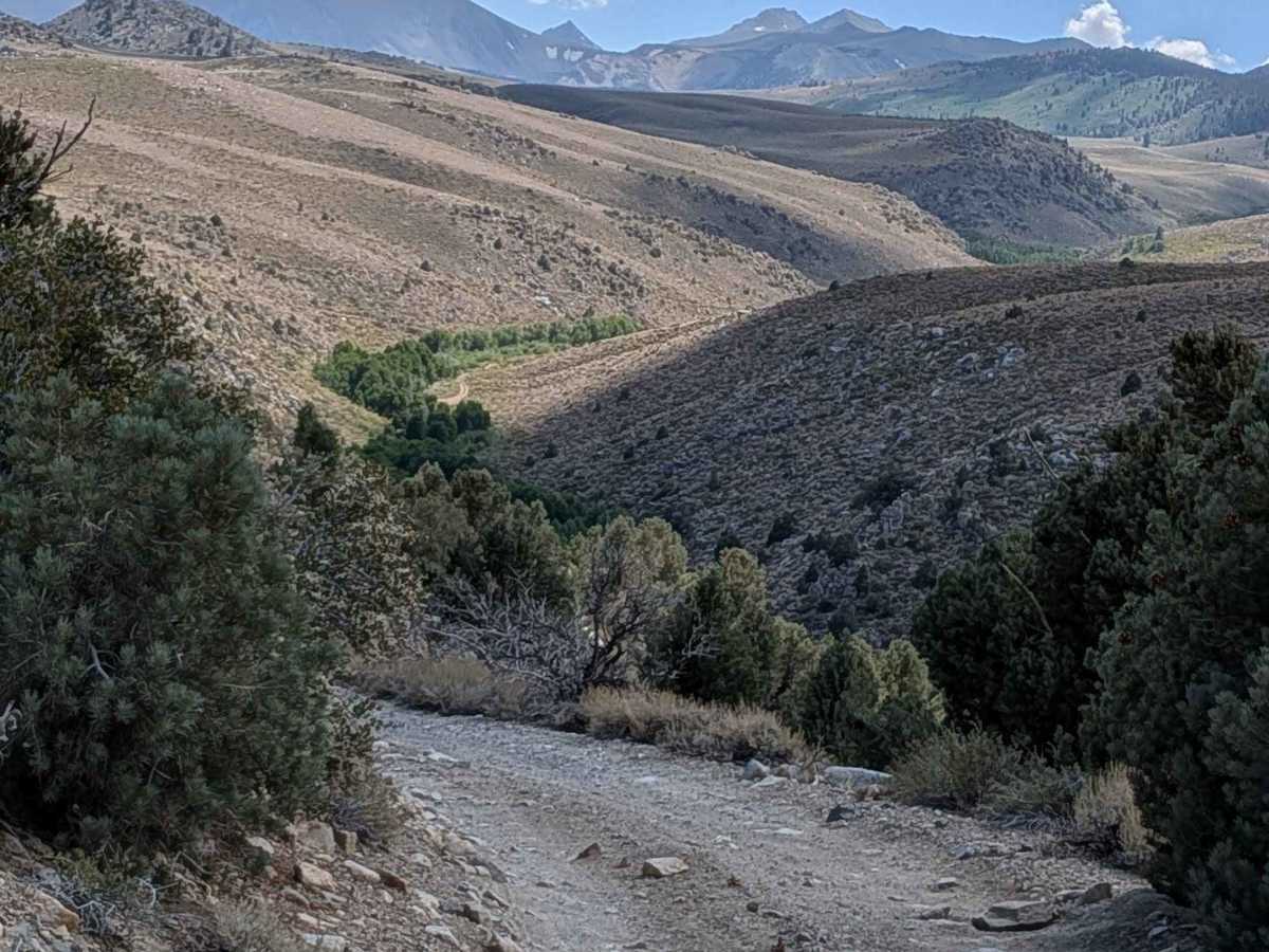 Coyote Flats FS7S10 photo 2