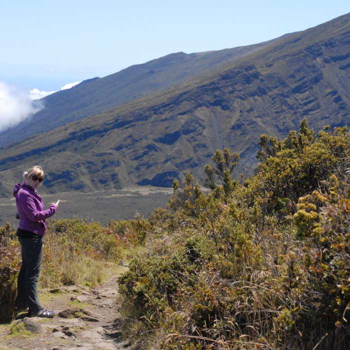 Discoveries along the Halemau'u Trail. Near Supply Trail