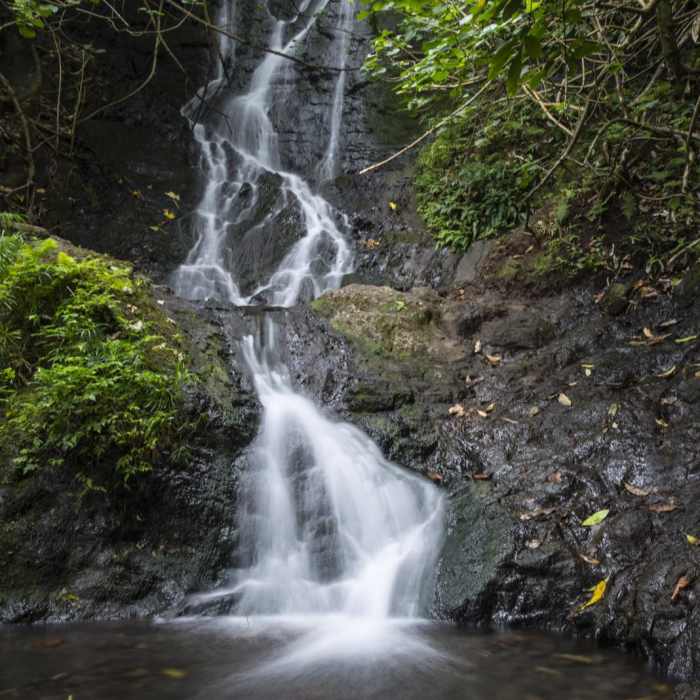 Near Likeke Falls Near Likeke Falls
