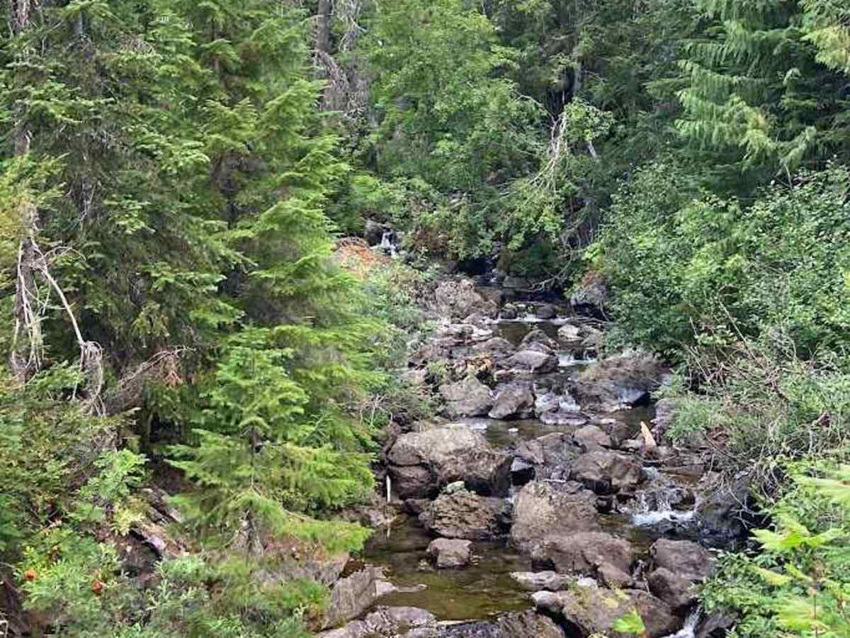 Box Canyon Creek - FS 4930 photo 5