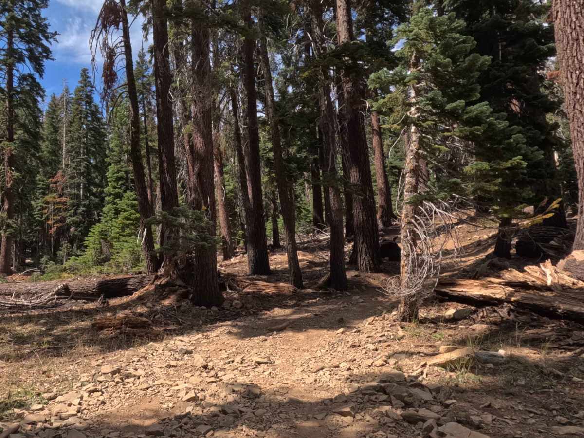 Star Lakes - FS 22E203 photo 3