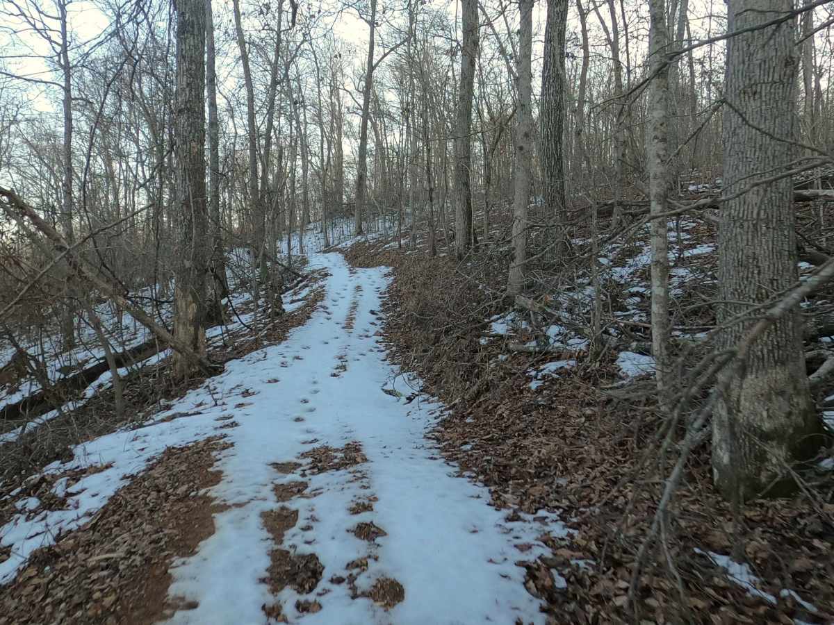 Sutton Bluff ATV 3 - SB 3 photo 4