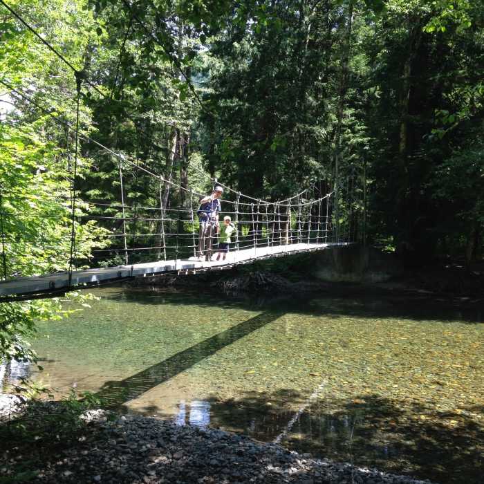 Bridge, Grove of the Patriarchs Trail Near Grove of the Patriarchs