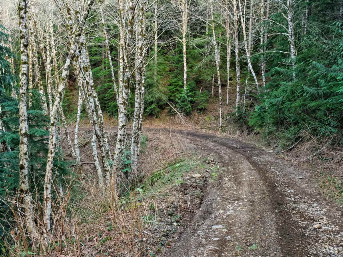 Bremer Mountain photo 4