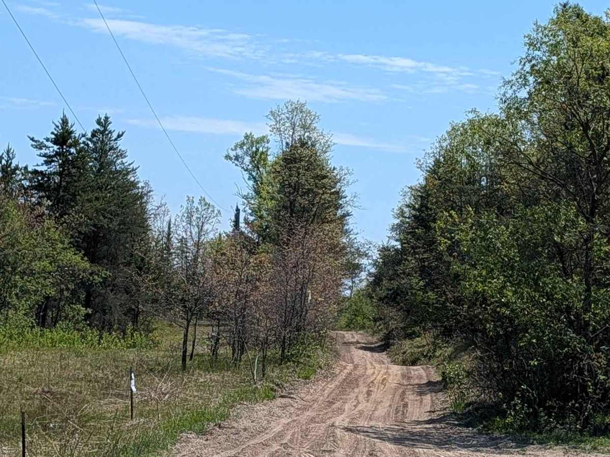 Spencers Trail trail photo