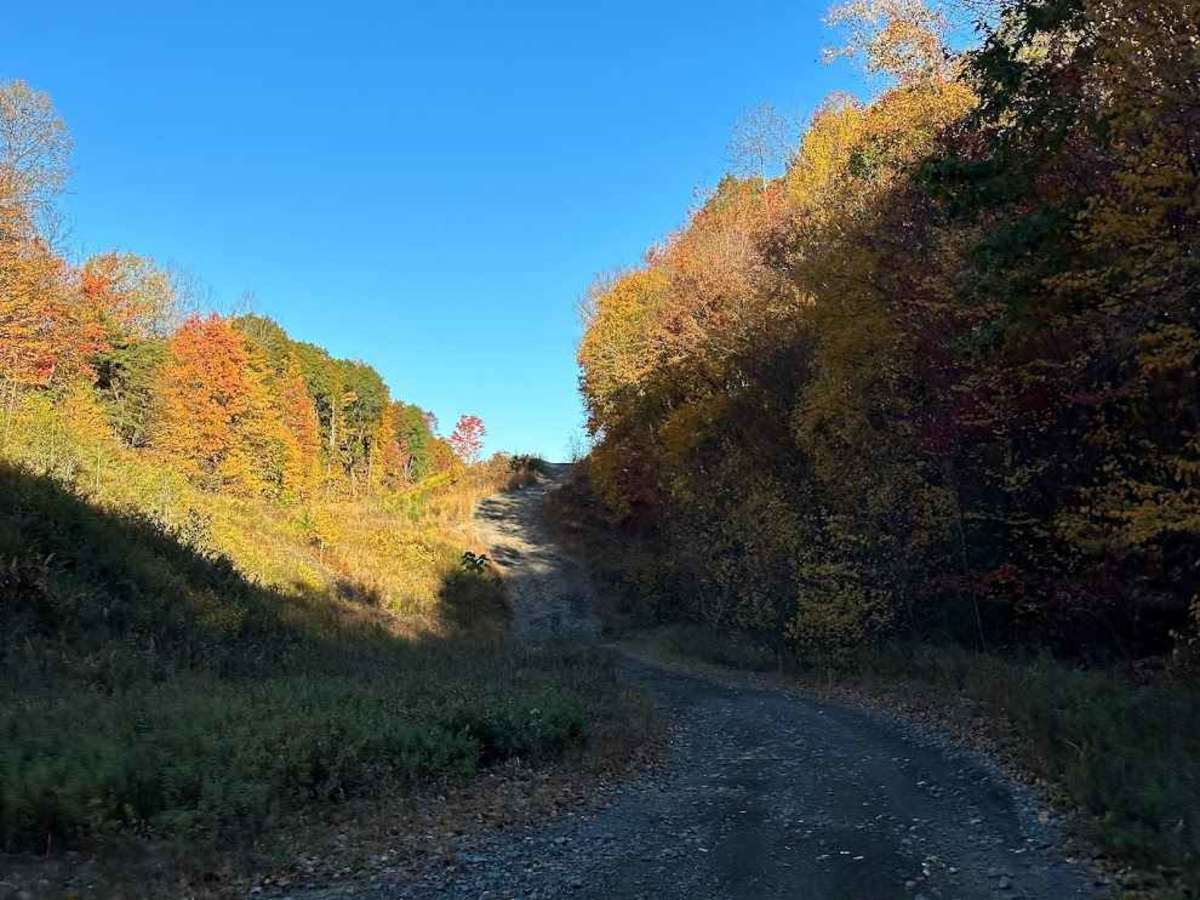 100 trail photo