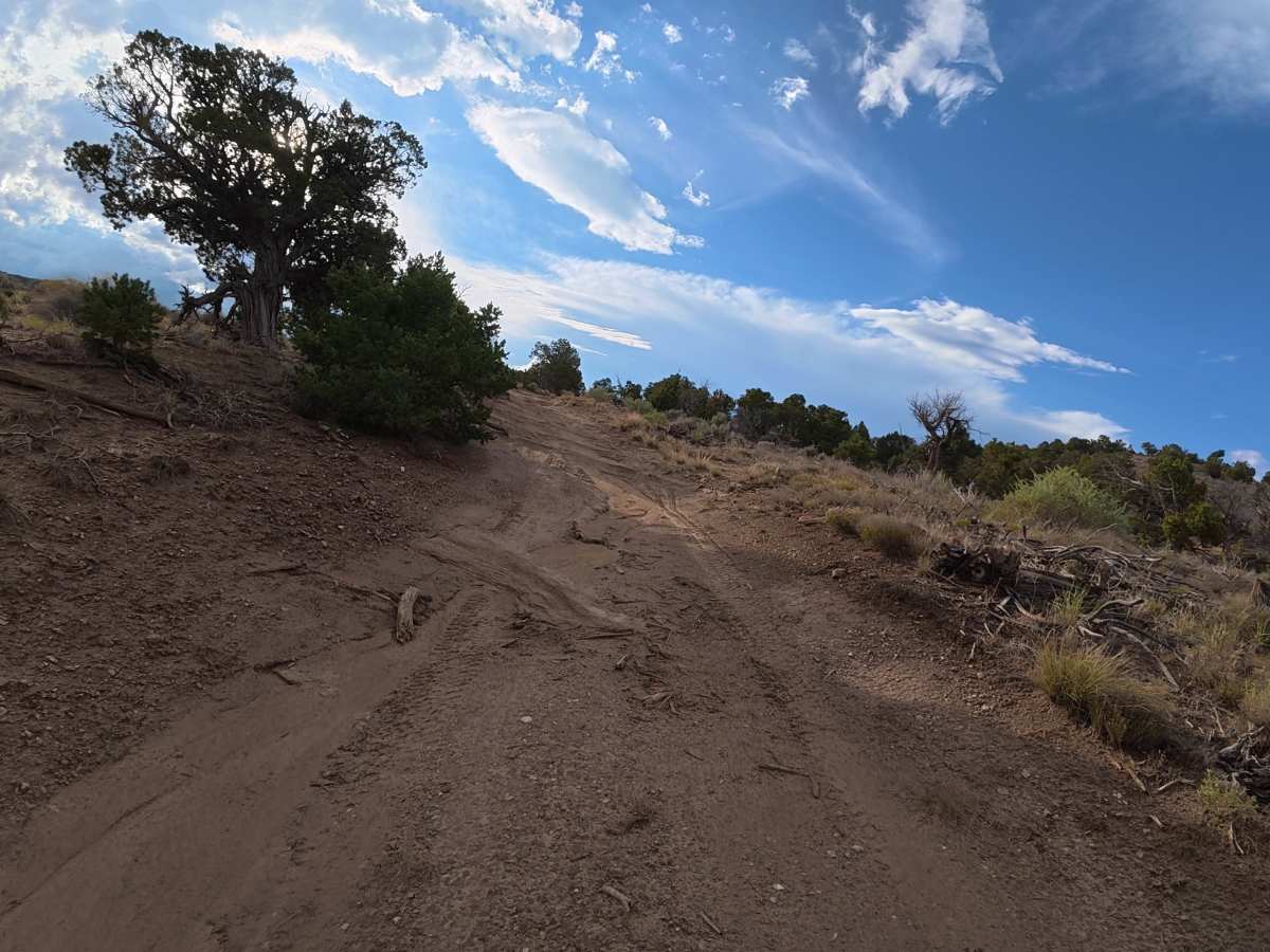 BLM 621A photo 4