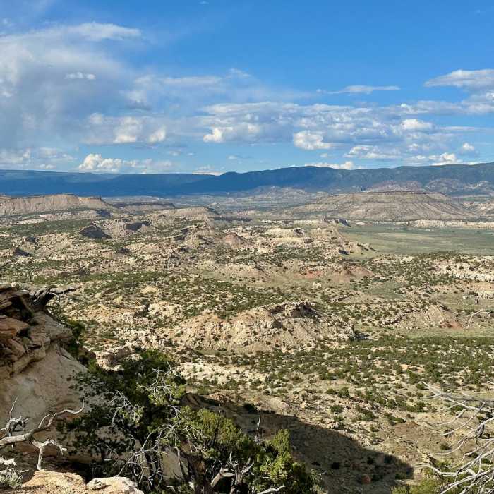 Near Continental Divide Trail: New Mexico Section 24