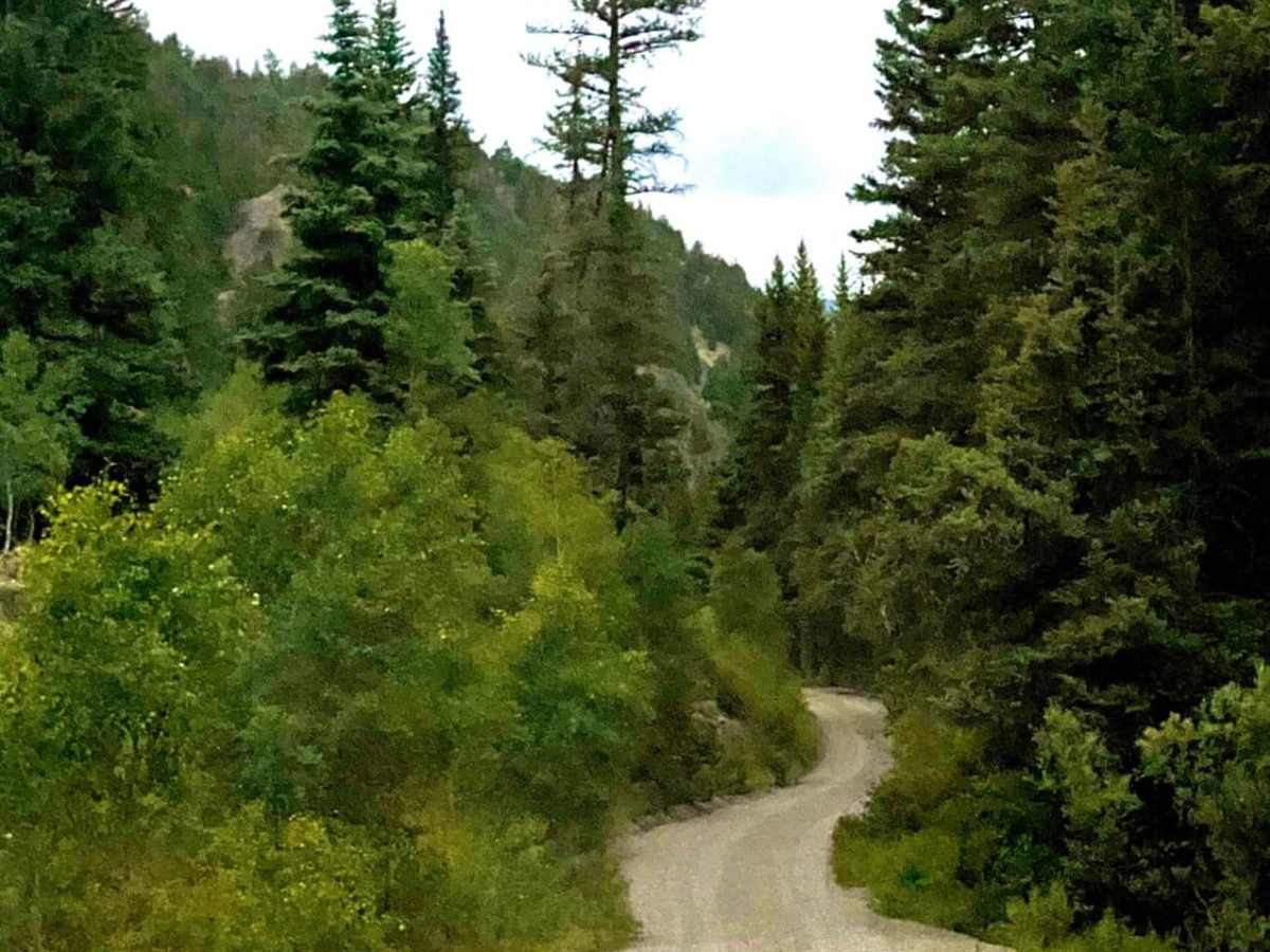 Miners Creek Road photo 5