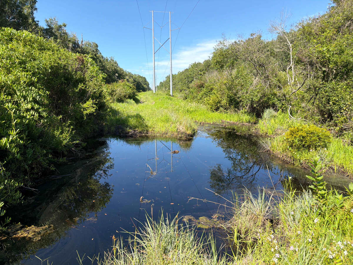 Powerline - FS 341A photo 2