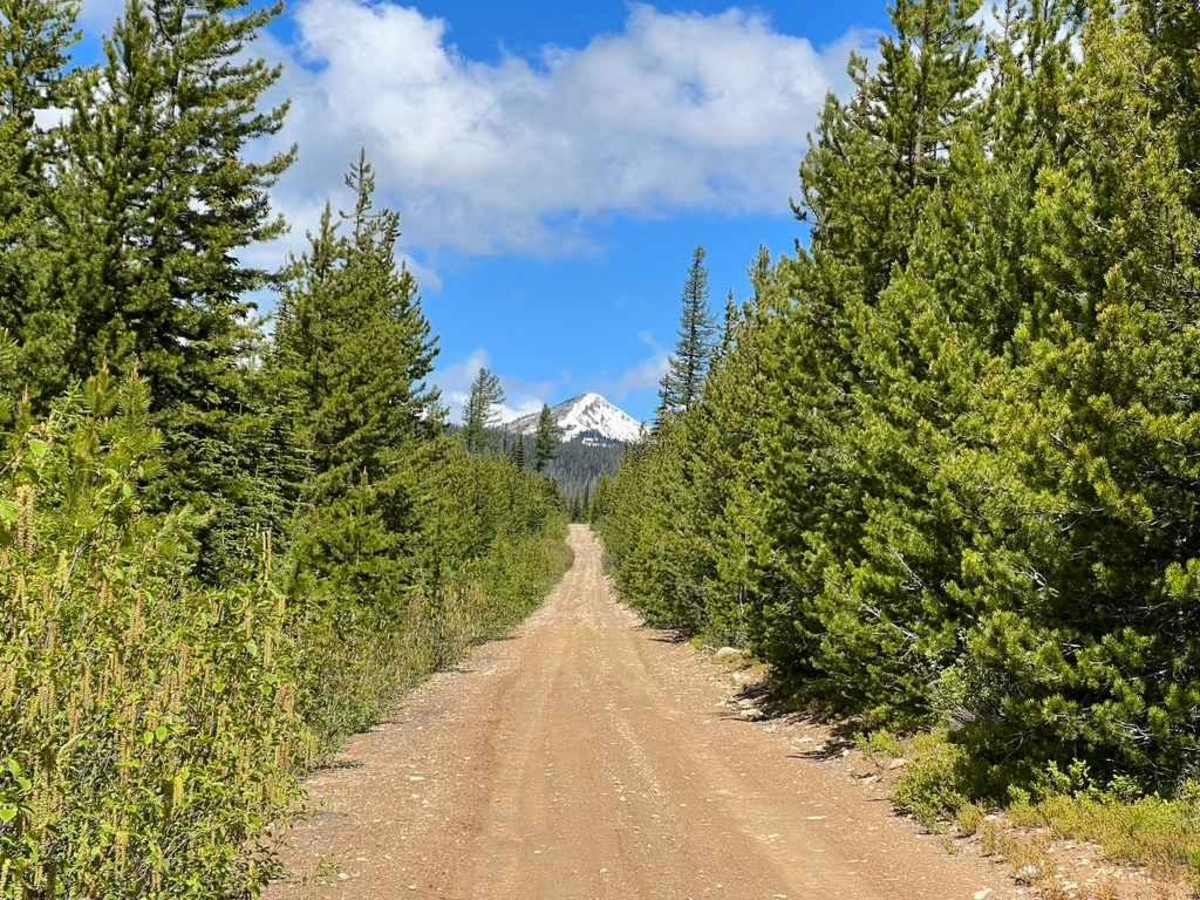 Edith Peak 476-1 trail photo