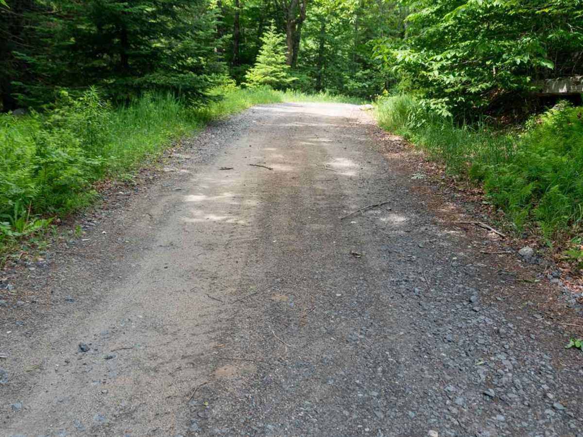 Woody's Road photo 2
