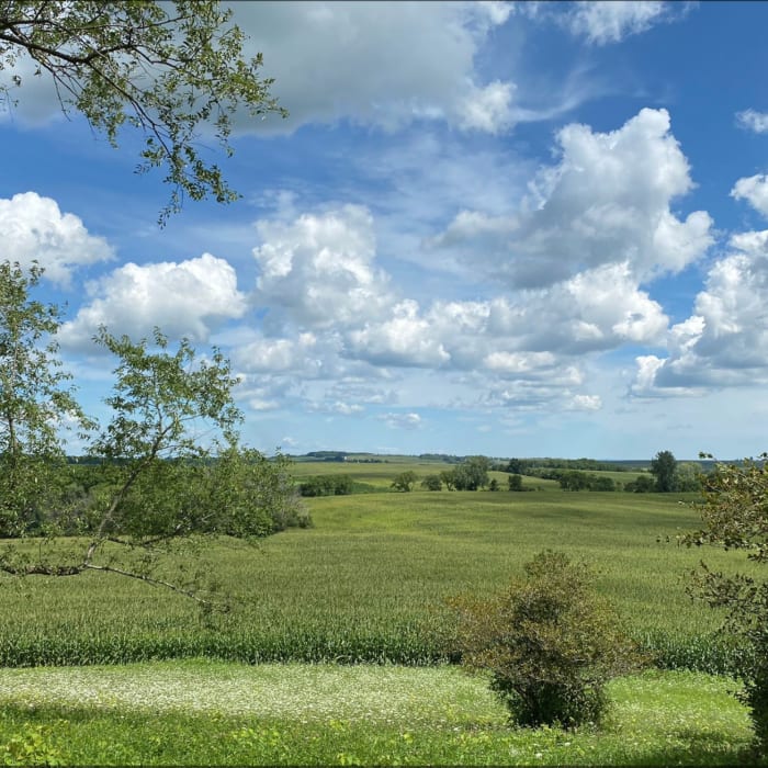 Near Charles Mound Trail