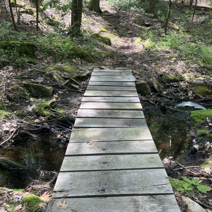 Small footbridge, along the path. Near Mountain Laurel