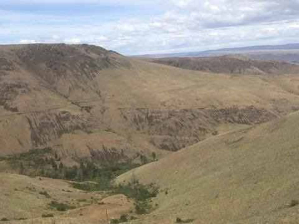 Powerline Road photo 2