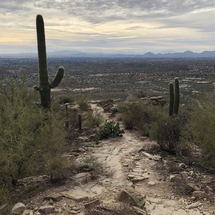 Looking back at the trail and city below at one of the benches approx 3/4 way up. Near Blacketts Ridge