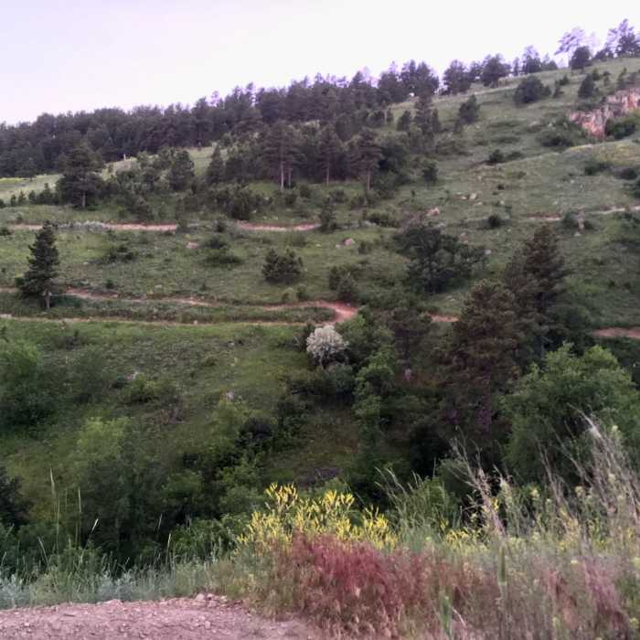 Looking back towards the trail across the ravine. Near Far East / Founders Valley Loop