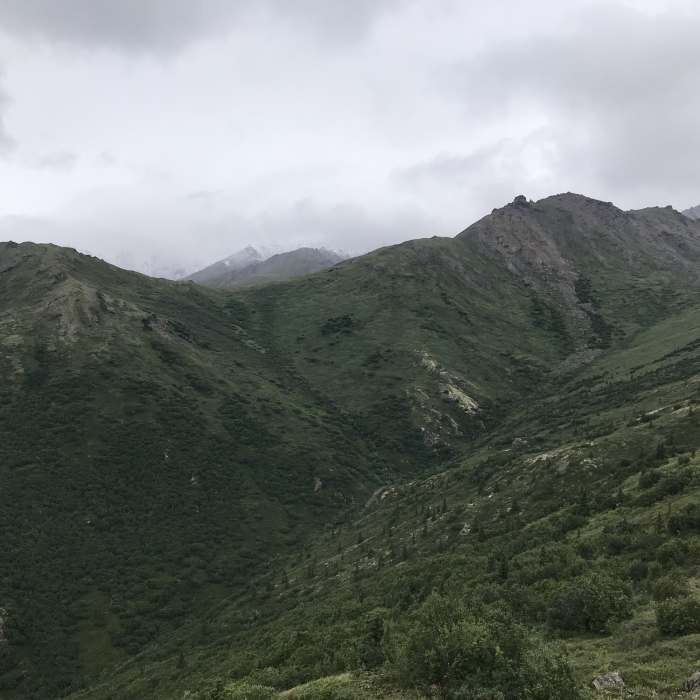 View from the Mt. Healy Overlook Trail. Near Mt. Healy Out and Back