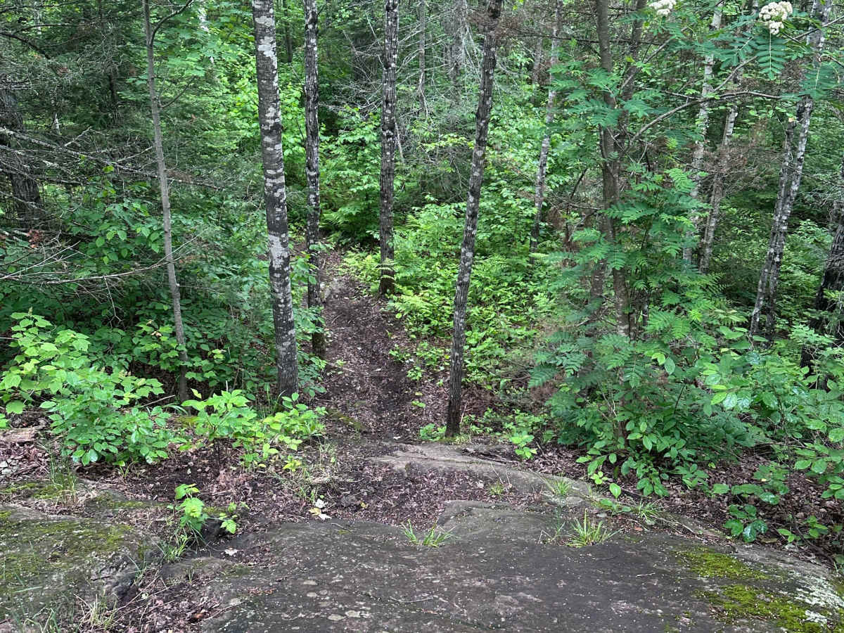 Alger Grade - Trail 5 photo 4