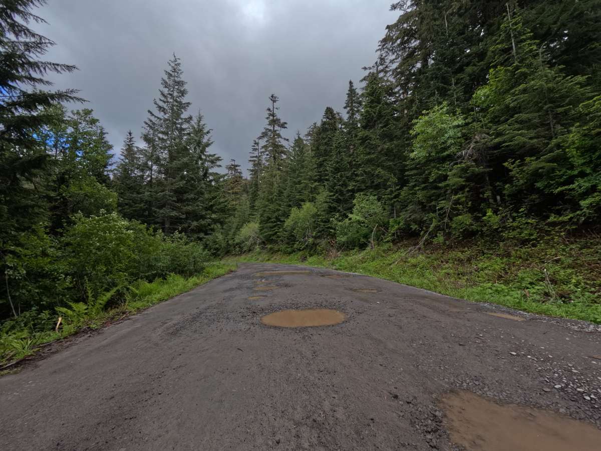Top Spur - FS 1828118 photo 3