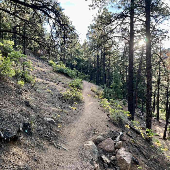 Near Mount Buckhorn Loop