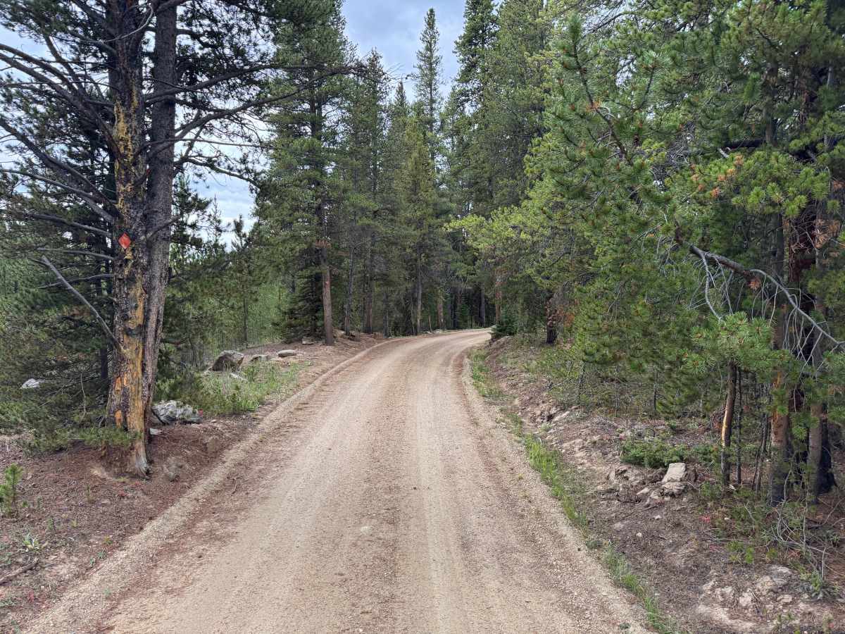 Wurts Ditch Road trail photo