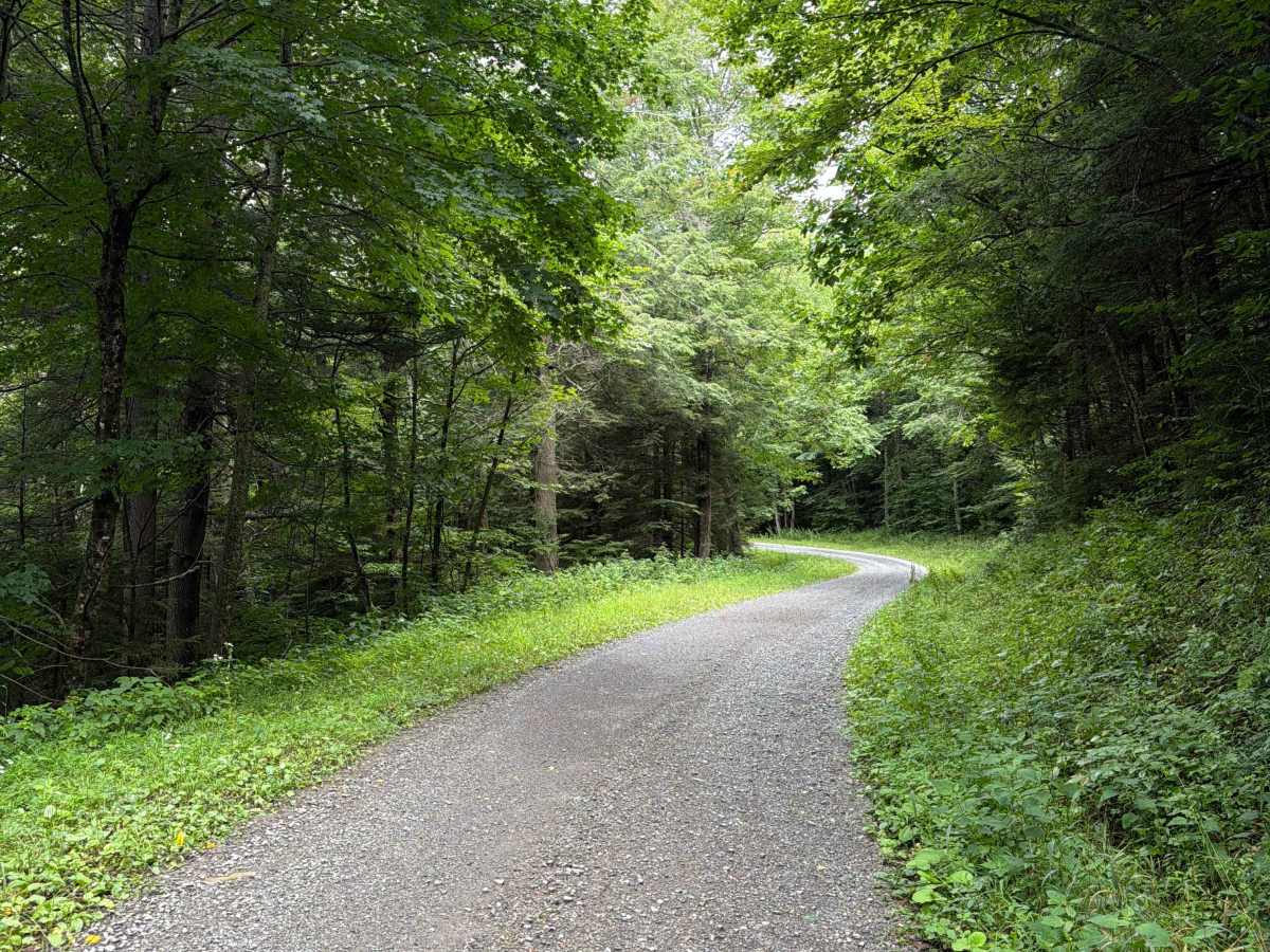 Dogway South - CFR 232 photo 3