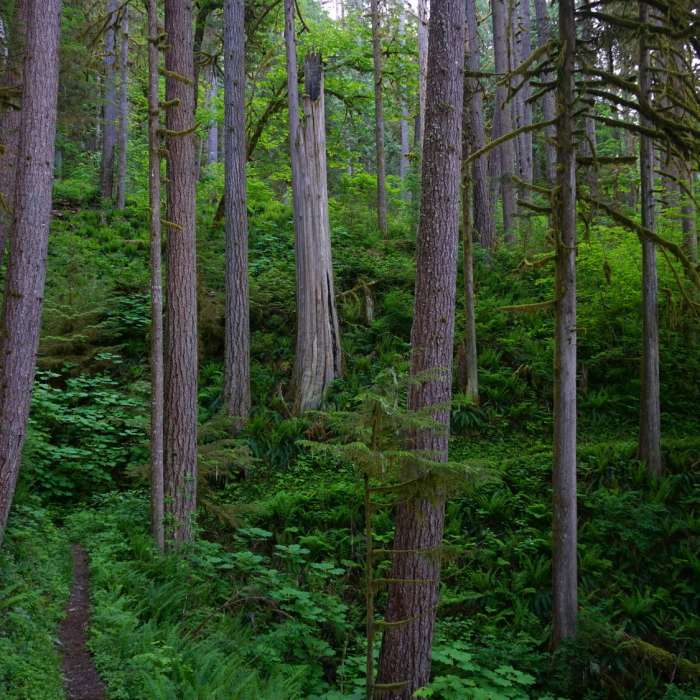 Near South Baker Lake to Maple Grove Camp