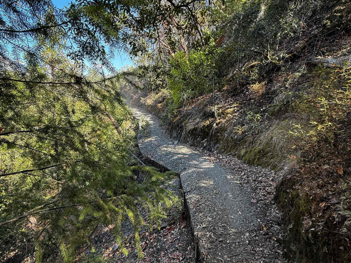 Trail 1-4 (11E42)   photo 5