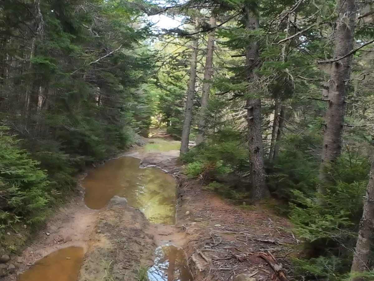 Beaumont North  photo 3
